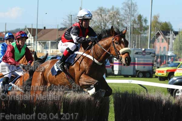 ET0Q0640a prot